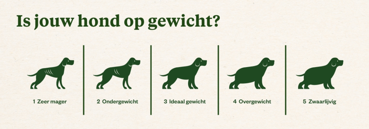 is mijn hond op gewicht advies welkoop